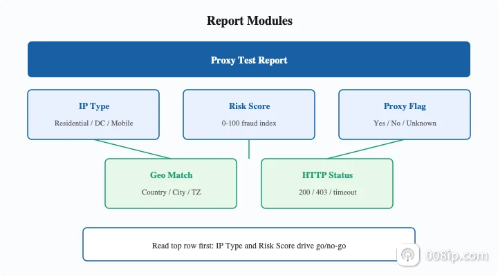 代理检测报告模块概览：IP类型、风控评分、代理标记、Geo一致性与HTTP状态五大字段